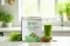 Wheat grass Powder