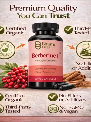 ChatGPT Image Feb 12, 2026, 01_11_01 PM