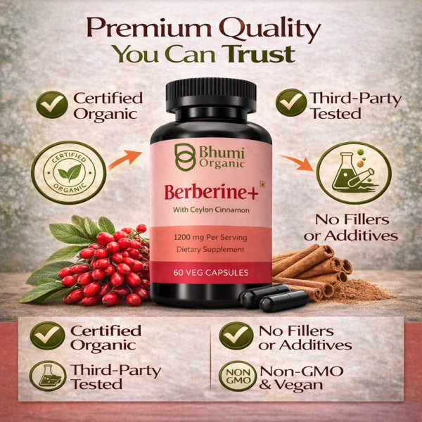 Berberine + Ceylon Cinnamon | 1200mg Blood Sugar & Metabolic Support | 60 Vegan Caps