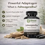 Ashwagandha Capsules 2100mg | High Potency Stress & Energy Support | 60 Vegan Caps