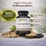 Ashwagandha Capsules 2100mg | High Potency Stress & Energy Support | 60 Vegan Caps
