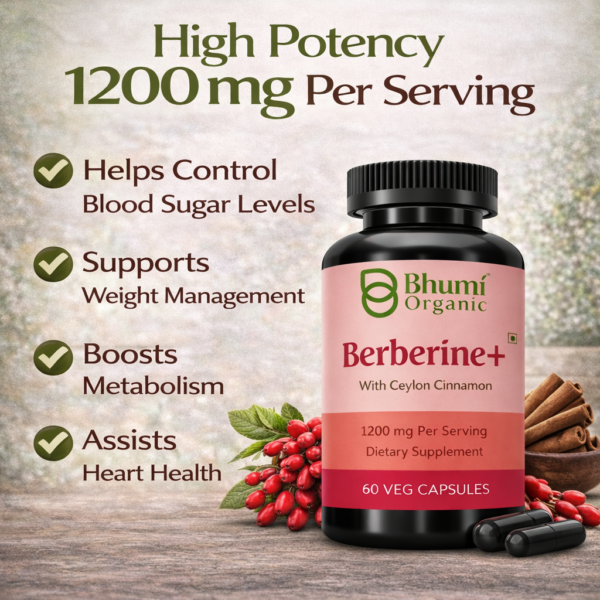 Berberine + Ceylon Cinnamon | 1200mg Blood Sugar & Metabolic Support | 60 Vegan Caps