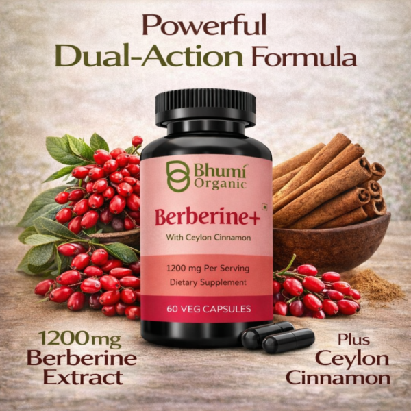 Berberine + Ceylon Cinnamon | 1200mg Blood Sugar & Metabolic Support | 60 Vegan Caps
