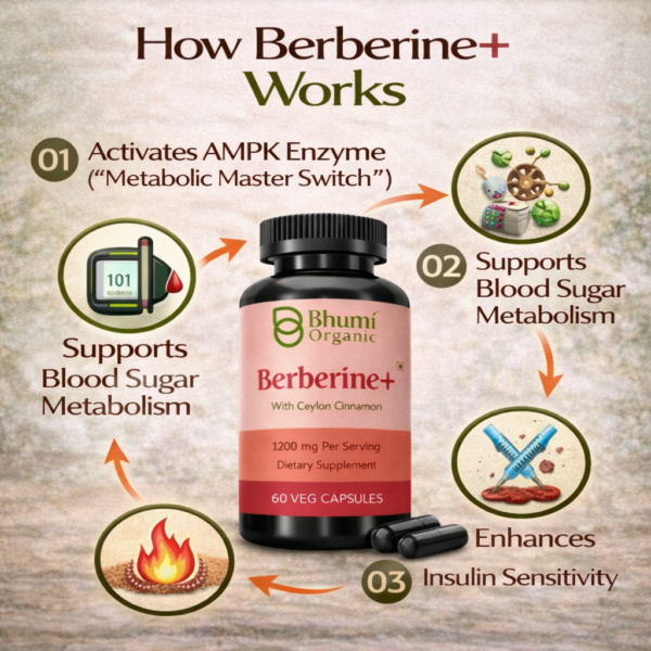 Berberine + Ceylon Cinnamon | 1200mg Blood Sugar & Metabolic Support | 60 Vegan Caps