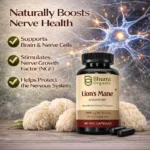 Lion’s Mane Capsules | 1000mg Pure Mushroom Extract | Brain, Memory & Focus Support