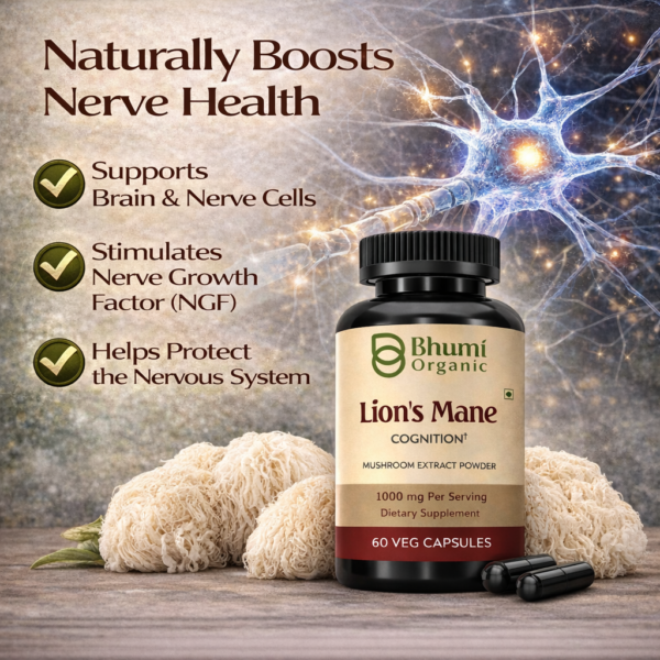 Lion’s Mane Capsules | 1000mg Pure Mushroom Extract | Brain, Memory & Focus Support
