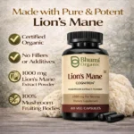 Lion’s Mane Capsules | 1000mg Pure Mushroom Extract | Brain, Memory & Focus Support
