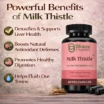 Milk Thistle & Dandelion Root | 1050mg Natural Liver Detox & Cleanse | 60 Vegan Caps
