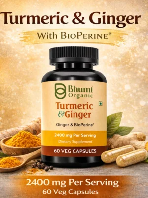 ChatGPT Image Feb 13, 2026, 08_14_21 PM