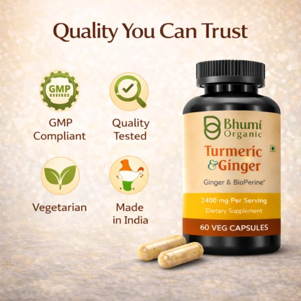Turmeric Curcumin with Ginger & Black Pepper | 2400mg | 95% Curcuminoids | Joint Support Supplement