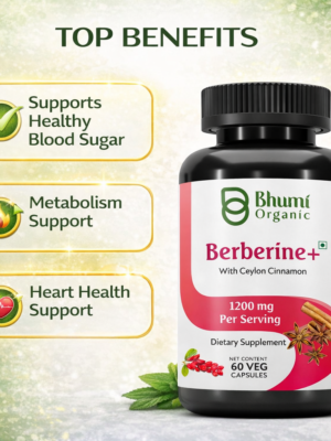 ChatGPT Image Jan 10, 2026, 01_06_51 AM