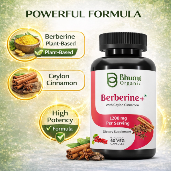 Berberine + Ceylon Cinnamon | 1200mg Blood Sugar & Metabolic Support | 60 Vegan Caps