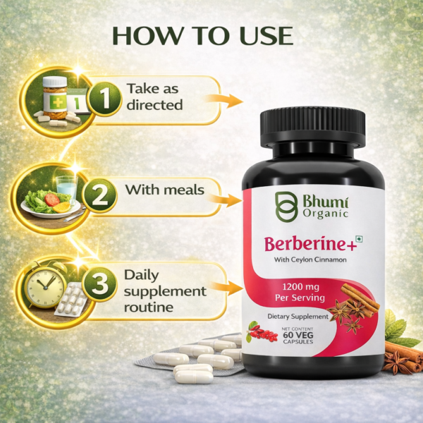 Berberine + Ceylon Cinnamon | 1200mg Blood Sugar & Metabolic Support | 60 Vegan Caps