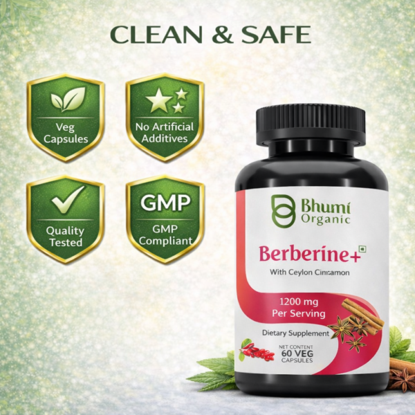 Berberine + Ceylon Cinnamon | 1200mg Blood Sugar & Metabolic Support | 60 Vegan Caps