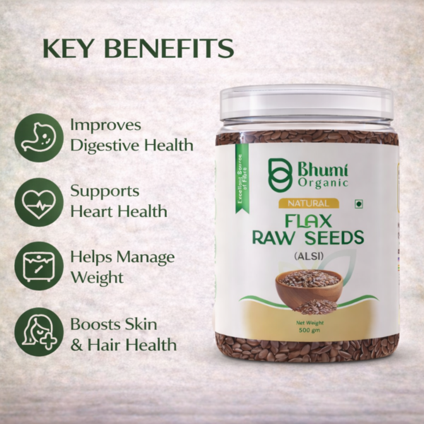 Bhumi Organic Golden Flax Seeds | Pure Natural | Omega-3 Rich Superfood | 500gm