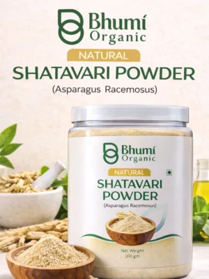 ChatGPT Image Jan 13, 2026, 05_05_54 PM