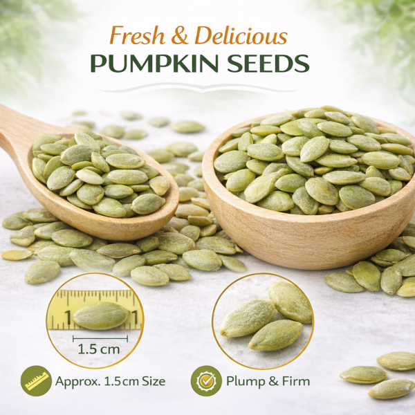 Bhumi Organic Pumpkin Seeds | Pure Natural | High-Protein Superfood | 500gm