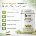 Bhumi Organic Pumpkin Seeds | Pure Natural | High-Protein Superfood | 500gm