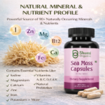 Pure Natural Herbal Blend | Sea Moss + Burdock + Ashwagandha + Black Seed | 1500mg Holistic Wellness | 60 Veg Caps
