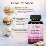 Pure Natural Herbal Blend | Sea Moss + Burdock + Ashwagandha + Black Seed | 1500mg Holistic Wellness | 60 Veg Caps