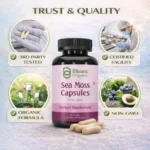 Pure Natural Herbal Blend | Sea Moss + Burdock + Ashwagandha + Black Seed | 1500mg Holistic Wellness | 60 Veg Caps