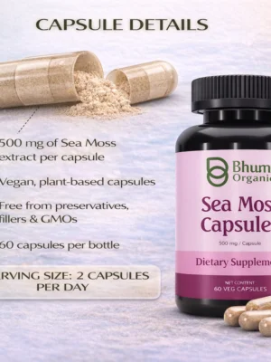 ChatGPT Image Jan 23, 2026, 01_33_10 AM