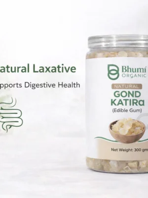 ChatGPT Image Jan 8, 2026, 07_06_17 PM