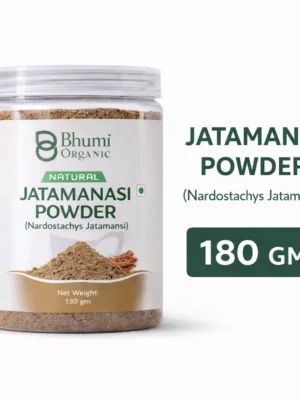 ChatGPT Image Jan 8, 2026, 08_50_03 PM