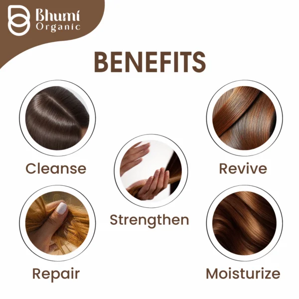 Bhumi Organic 5-in-1 Hair Care Powder 400g | Amla, Bhringraj | For Hair Fall & Growth