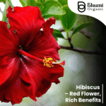 Pure Natural Hibiscus Powder 400g | For Hair Growth, Skin Care & Tea