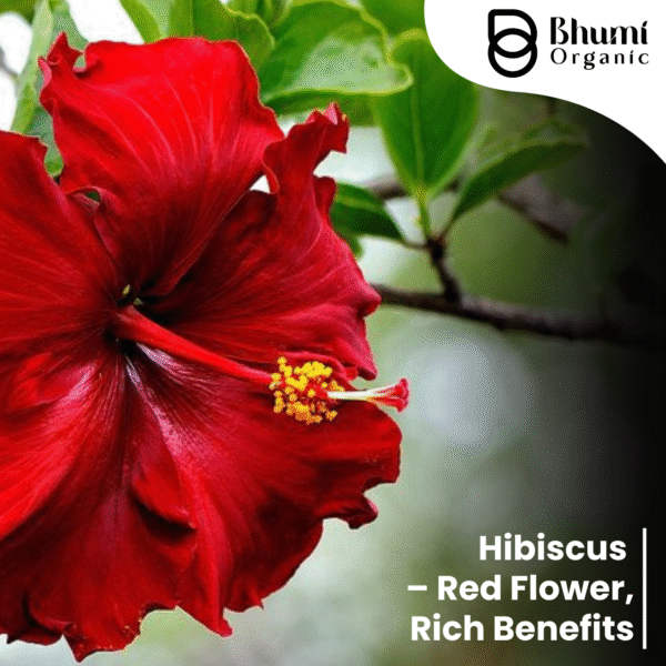 Pure Natural Hibiscus Powder 400g | For Hair Growth, Skin Care & Tea