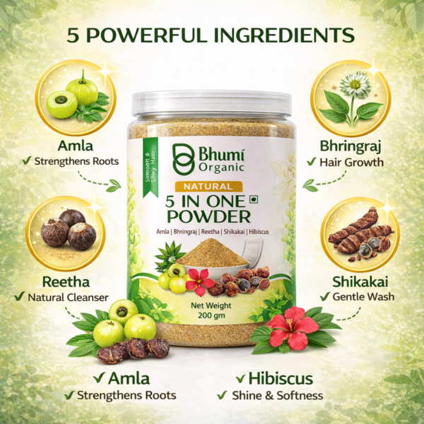 Bhumi Organic 5-in-1 Hair Care Powder 400g | Amla, Bhringraj | For Hair Fall & Growth