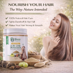 Bhumi Organic 3-in-1 Hair Powder with Amla, Bhringraj, Shikakai | 200g