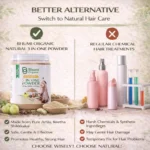 Bhumi Organic 3-in-1 Hair Powder with Amla, Bhringraj, Shikakai | 200g