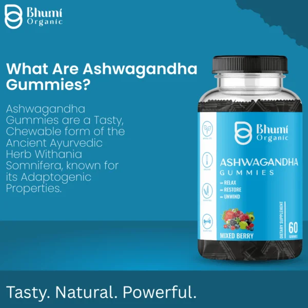 Ashwagandha Gummies, Mixed Berry Flavour, 60 Count, Vegan, Gluten-Free