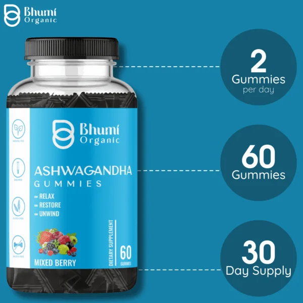 Ashwagandha Gummies, Mixed Berry Flavour, 60 Count, Vegan, Gluten-Free