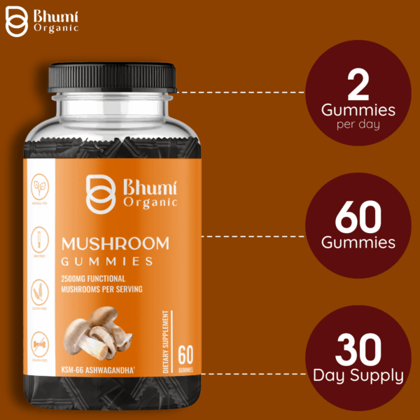 Mushroom Gummies, 2500mg Functional Mushrooms, 60 Gummies, Sugar-Free