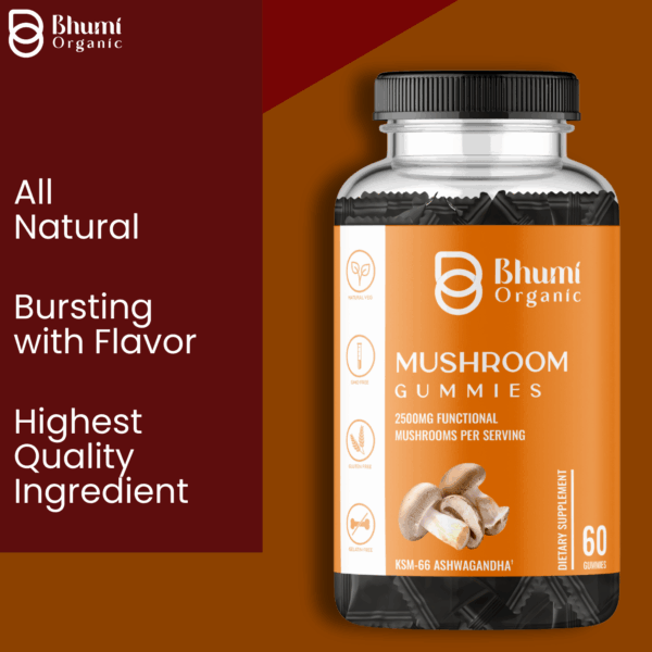 Mushroom Gummies, 2500mg Functional Mushrooms, 60 Gummies, Sugar-Free