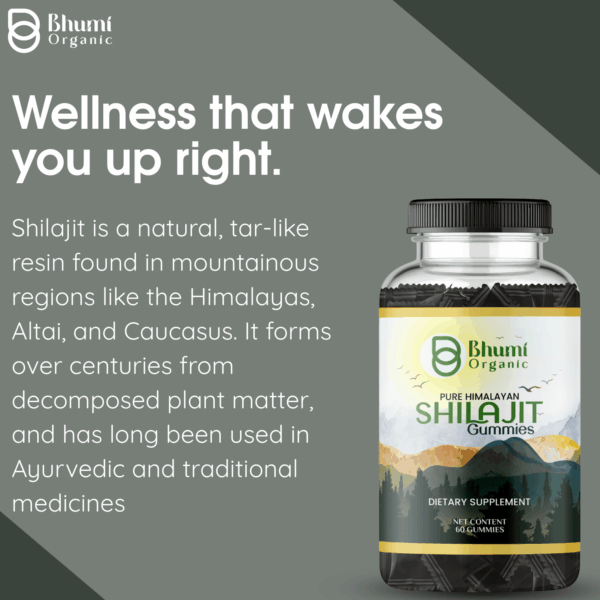 Pure Himalayan Shilajit Gummies, 60 Count, Dietary Supplement with Fulvic Acid and Ashwagandha