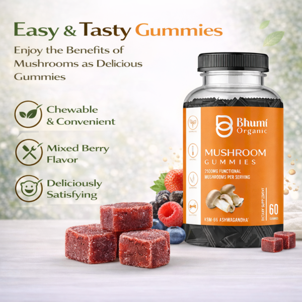 Mushroom Gummies | 2500mg Functional Mushrooms | Sugar-Free | 60 Gummies