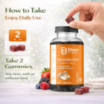 Mushroom Gummies | 2500mg Functional Mushrooms | Sugar-Free | 60 Gummies