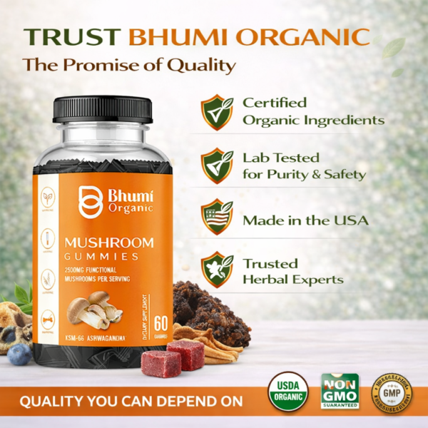Mushroom Gummies | 2500mg Functional Mushrooms | Sugar-Free | 60 Gummies