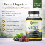 Pure Himalayan Shilajit Gummies | Fulvic Acid + Ashwagandha | Energy & Vitality | 60 Count