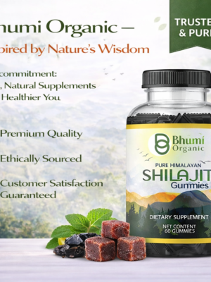 ChatGPT Image Jan 12, 2026, 01_01_28 AM