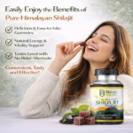 Pure Himalayan Shilajit Gummies | Fulvic Acid + Ashwagandha | Energy & Vitality | 60 Count