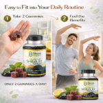 Pure Himalayan Shilajit Gummies | Fulvic Acid + Ashwagandha | Energy & Vitality | 60 Count