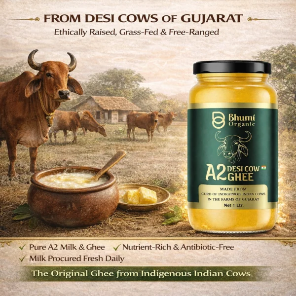 Desi Cow A2 Bilona Ghee Made from Curd | 15 KG (TIN PACK) | Traditional Wooden Churned