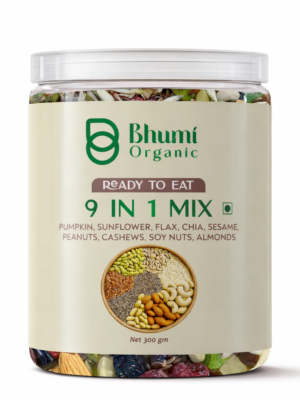 Bhumi Organic 9 in 1 Snack Mix – Nuts & Seeds Mix (300g)