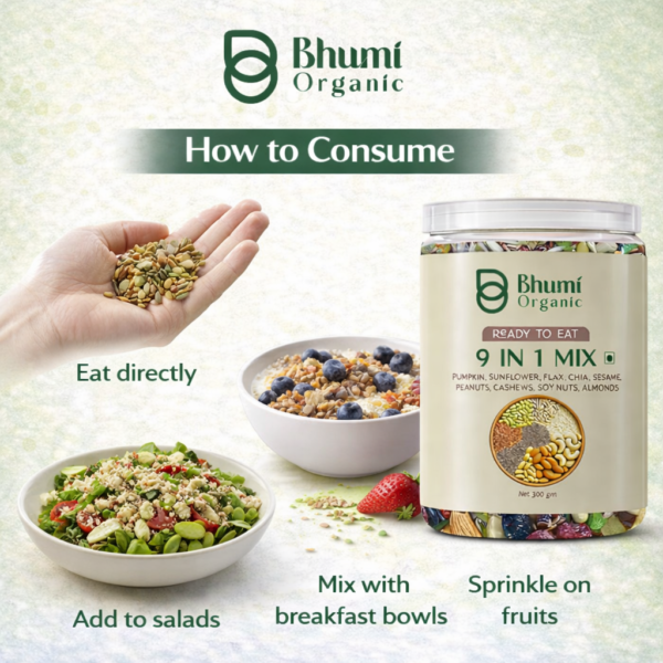 Bhumi Organic 9 in 1 Snack Mix – Nuts & Seeds Mix (300g)