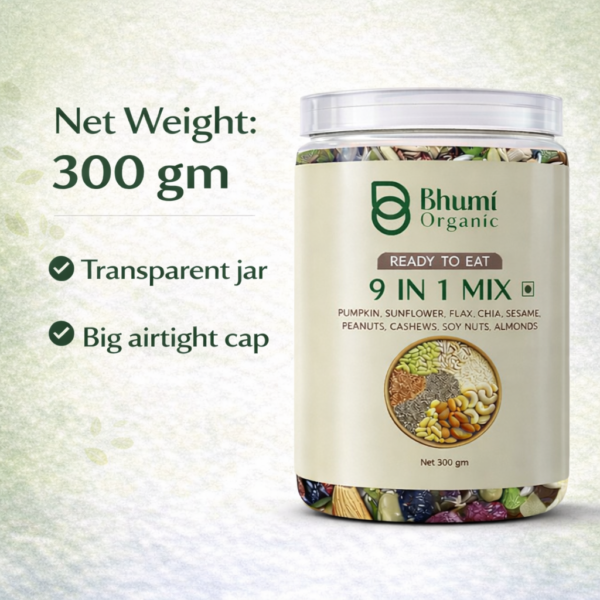 Bhumi Organic 9 in 1 Snack Mix – Nuts & Seeds Mix (300g)